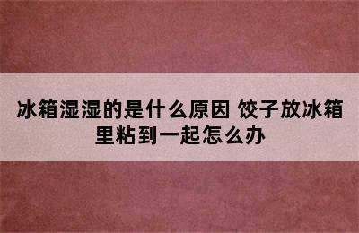 冰箱湿湿的是什么原因 饺子放冰箱里粘到一起怎么办